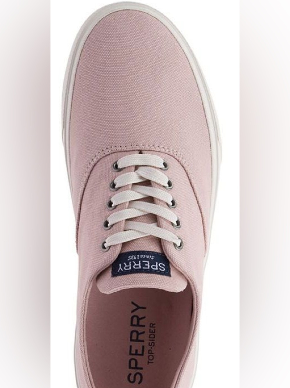 Sperry Top-Sider Women’s  Captain CVO Canvas Sneaker in Dusty Pink size 9